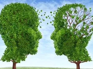 تفاوت بین آلزایمر و زوال عقل از نظر عوامل موثر بروز بیماری