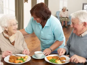 صبحانه مقوی برای سالمندان شامل چه چیزهایی است؟